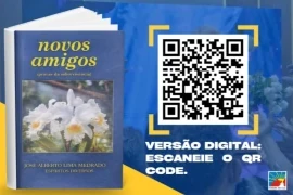 Livro - Novos amigos.