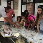 Exposição de animais do Museu de Zoologia da FTC.