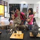 Exposição de animais do Museu de Zoologia da FTC.